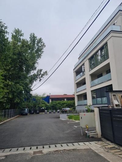 Glori Gold Apartaments Baia Mare Eksteriør billede